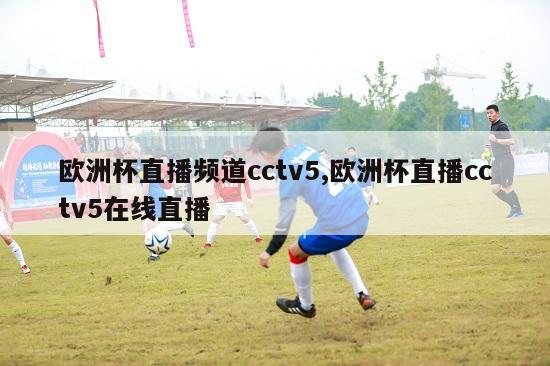 欧洲杯直播频道cctv5,欧洲杯直播cctv5在线直播