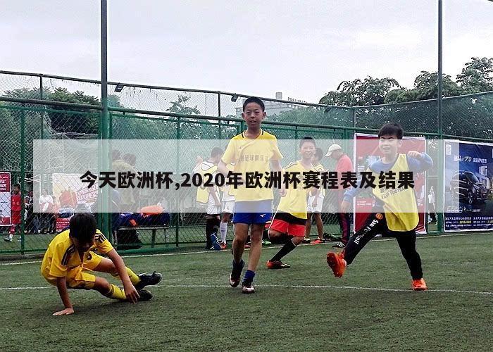 今天欧洲杯,2020年欧洲杯赛程表及结果