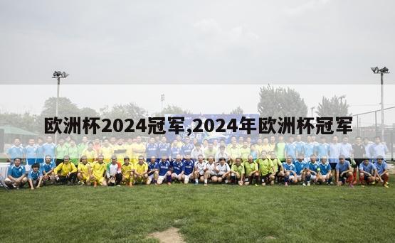 欧洲杯2024冠军,2024年欧洲杯冠军