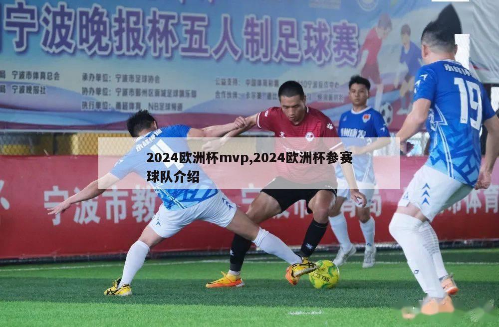 2024欧洲杯mvp,2024欧洲杯参赛球队介绍