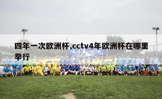 四年一次欧洲杯,cctv4年欧洲杯在哪里举行